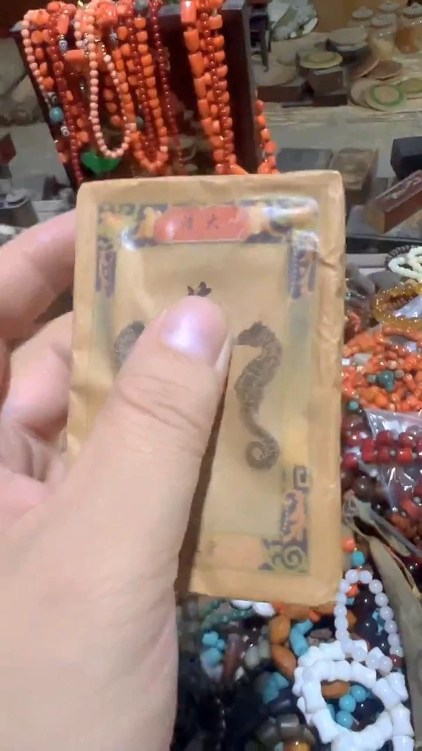 紫砂紫砂紫砂紫砂