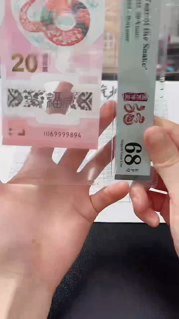 塑料意2025年蛇年069999894