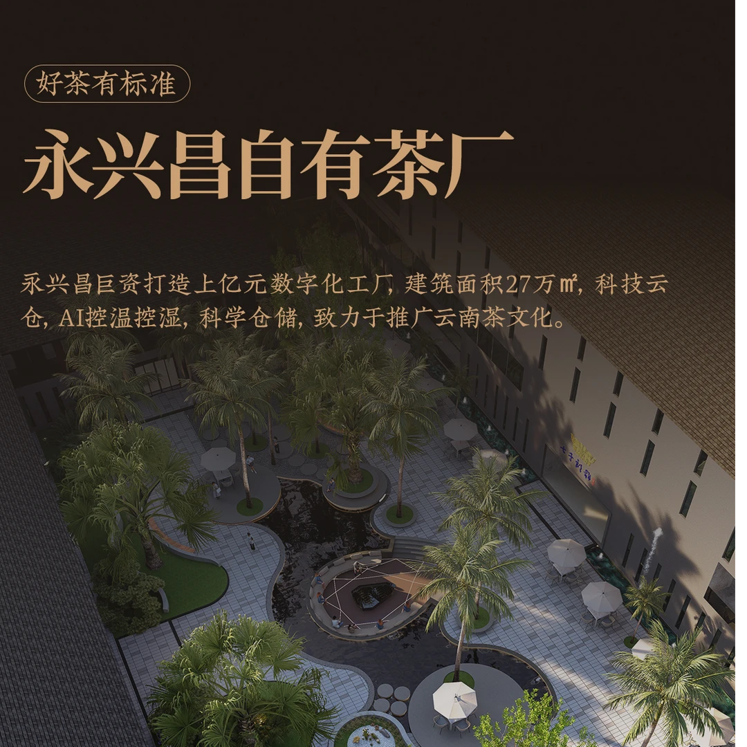 2024传家宝160克龙珠——高货分享装