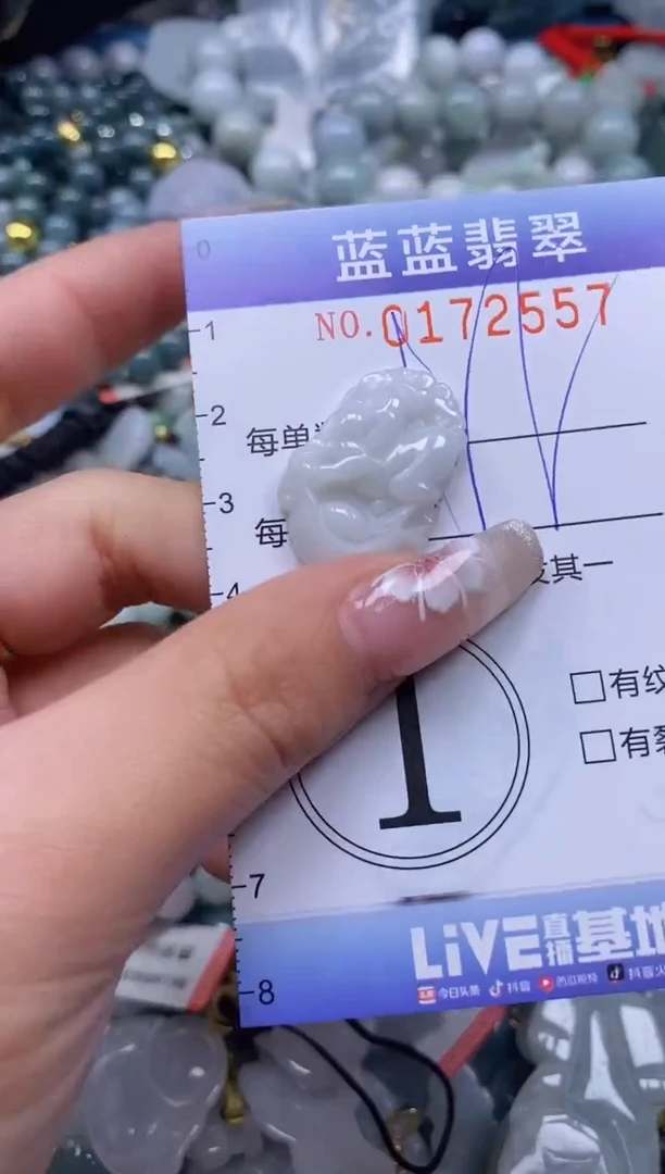 【闪购商品】翡翠颈饰未镶嵌闪购0172557