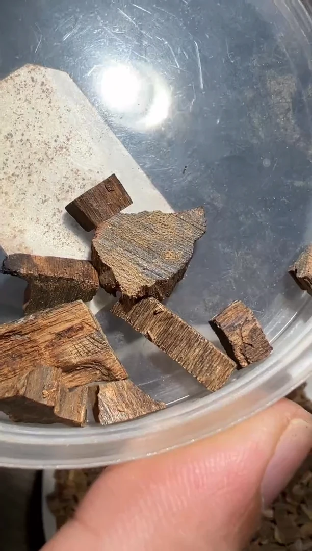 沉香沉香碎屑巴布雅2克