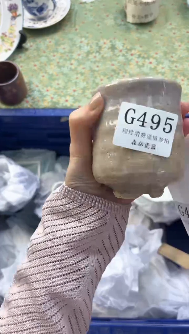 【闪购商品】瓷片          G495