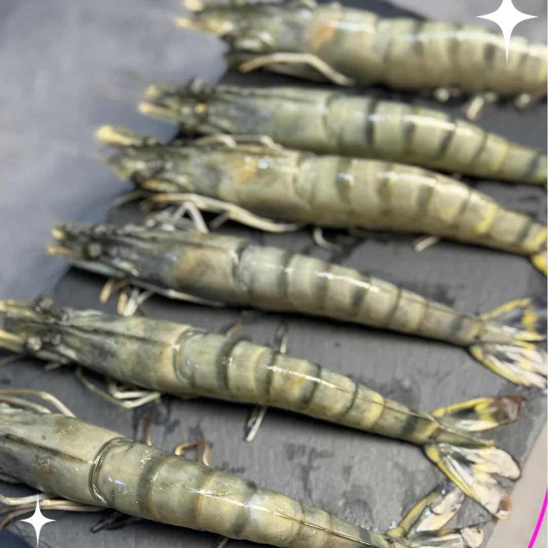 黑虎虾大虾新鲜虾子特大号冻虾鲜活速冻超大海鲜水产批发