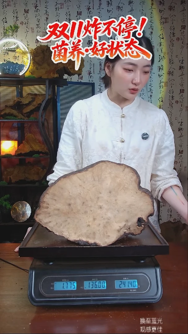 红缘拟层孔菌中国大陆【藏区 野生】红缘树舌（3.55斤）40-50年份