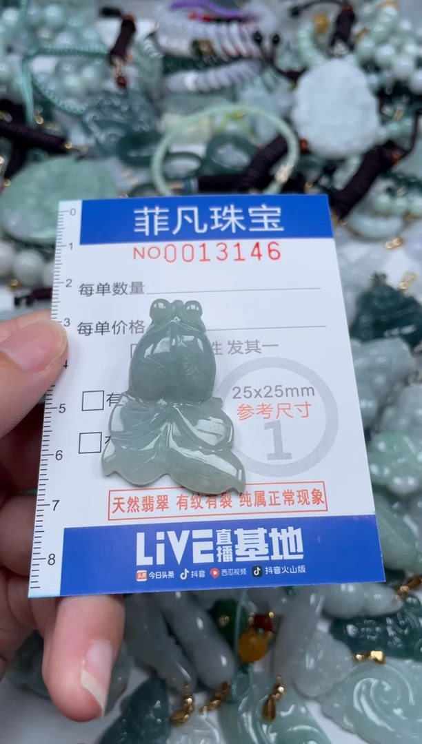 颈饰未镶嵌翡翠13146
