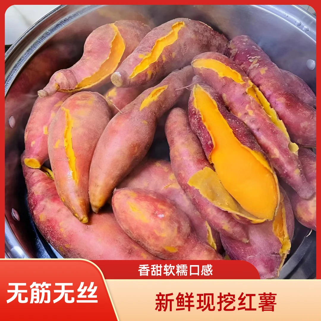 【新鲜现挖】红心蜜薯现挖现发 软糯香甜新鲜番薯蜜薯地瓜