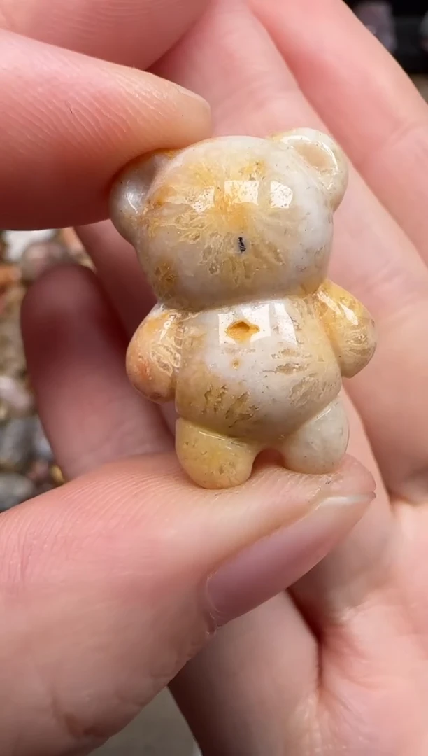 硅化珊瑚（珊瑚玉）未镶嵌颈饰737