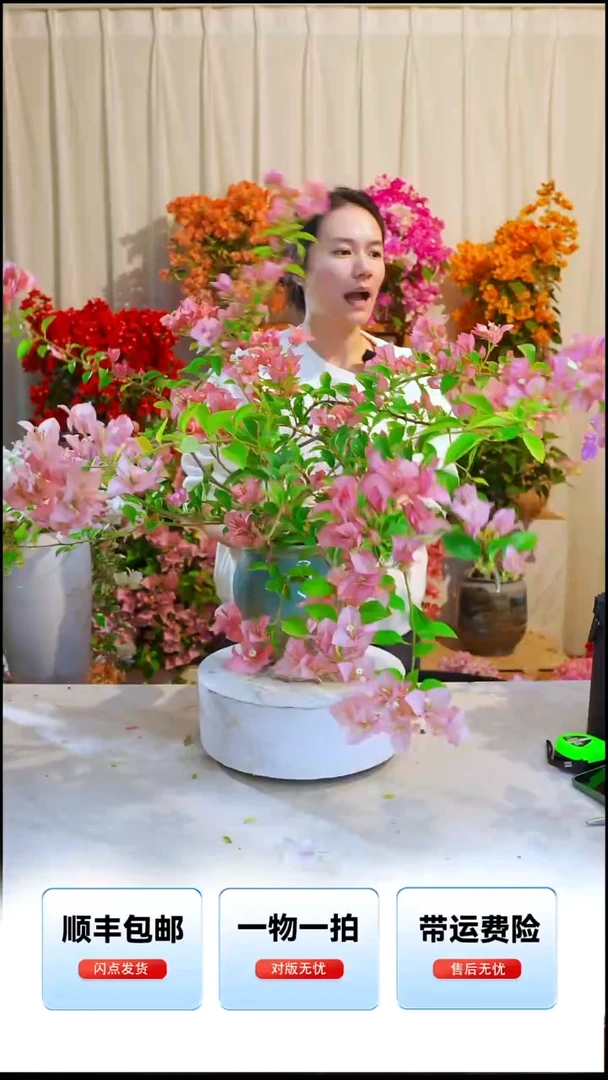 大部分开放少量花苞卡亚塔