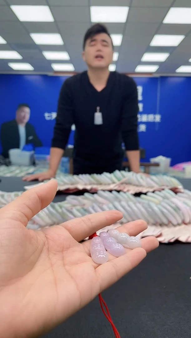 吊坠(不含链)未镶嵌翡翠DP-DZ01翡翠豆子多样性发其一