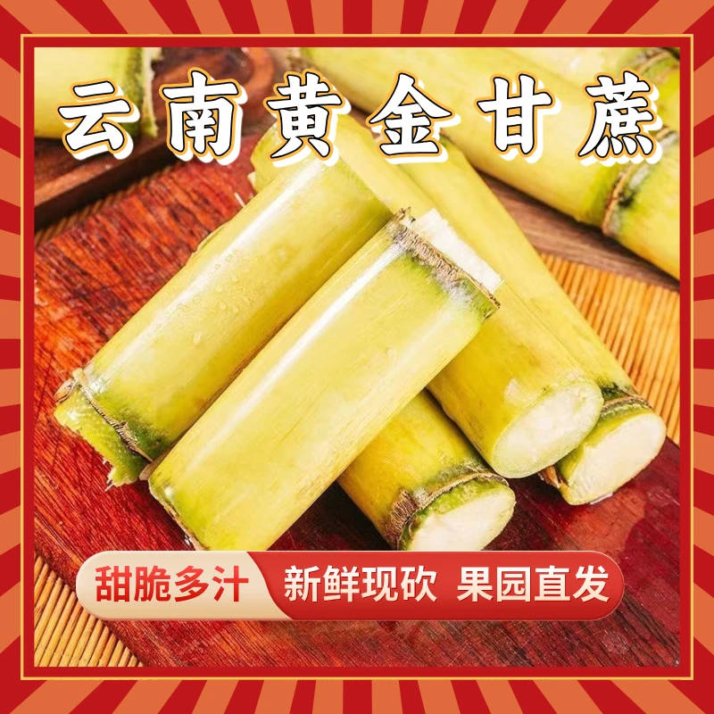 【产地直发】云南脆皮黄金甘蔗新鲜甘蔗现摘现发青甘蔗脆甜黄皮