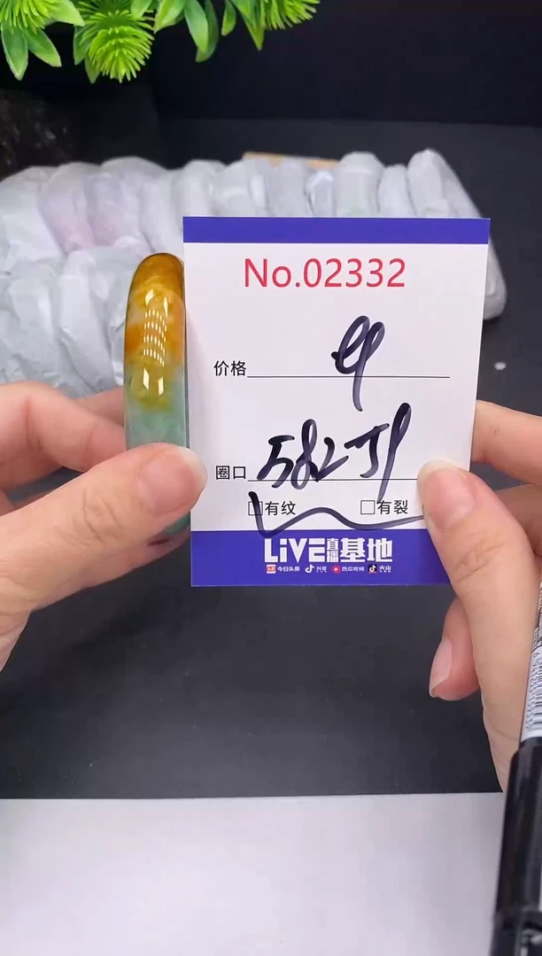 未镶嵌手镯翡翠2332