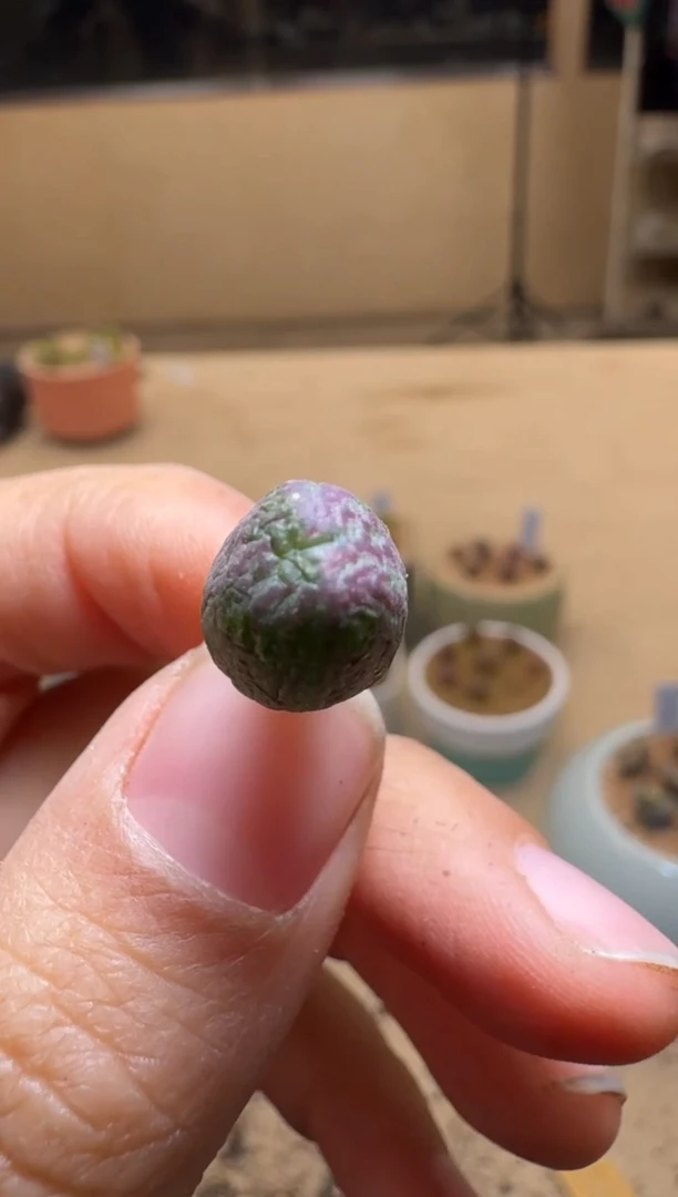 【闪购商品】1/24-237