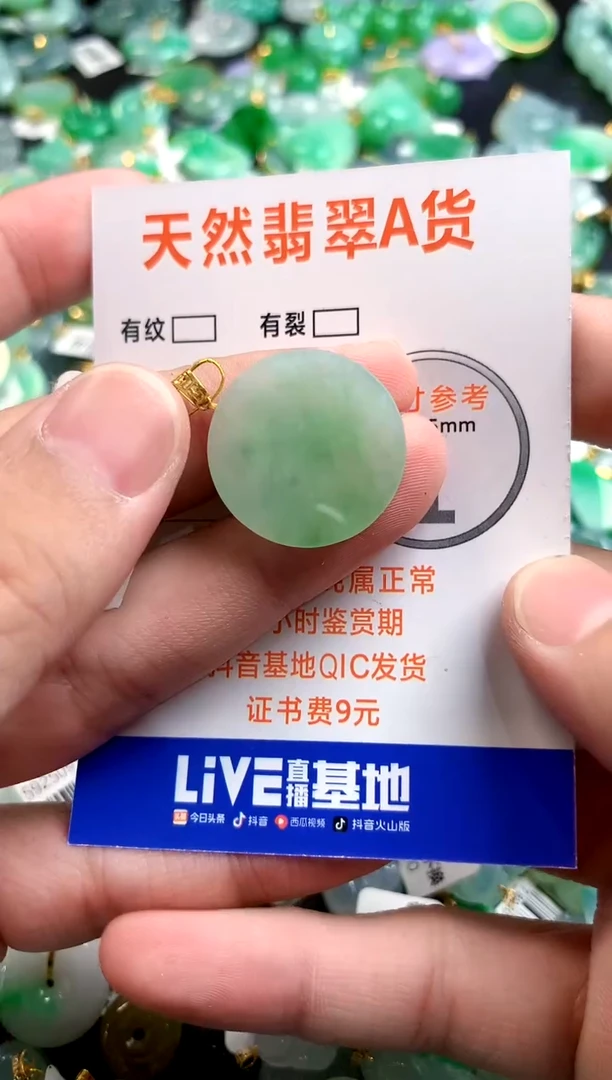 颈饰未镶嵌翡翠0046977231