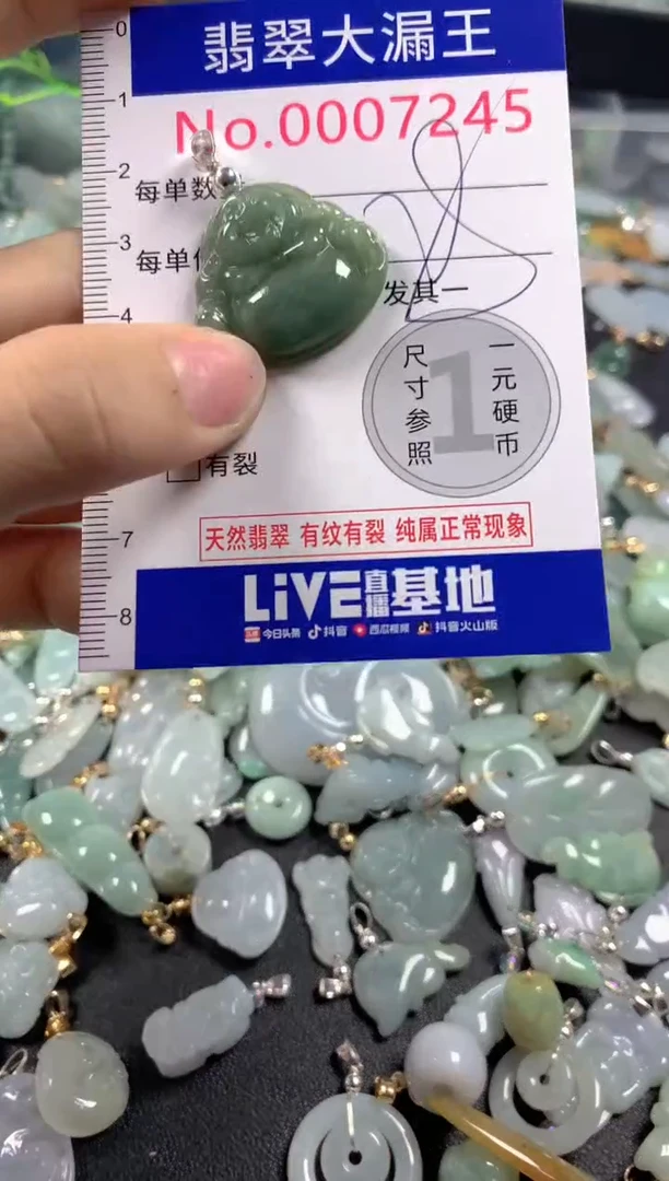 颈饰未镶嵌翡翠7245