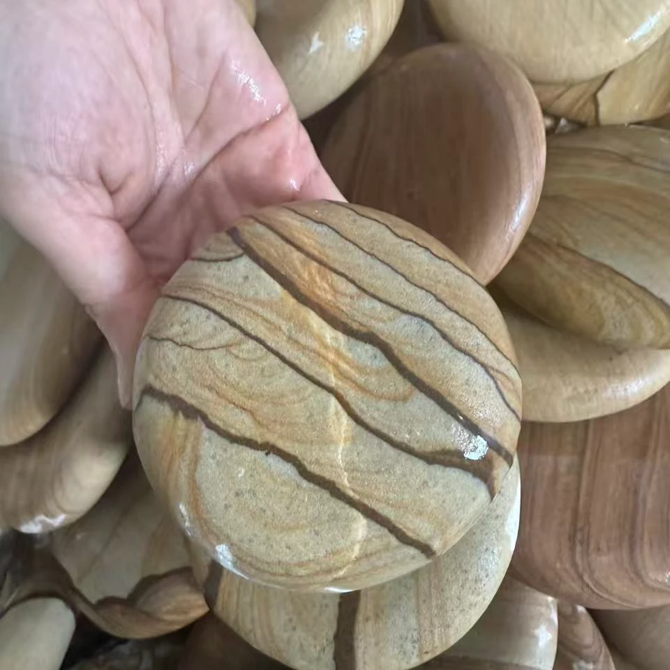 静宝家的龟 乌龟晒背石