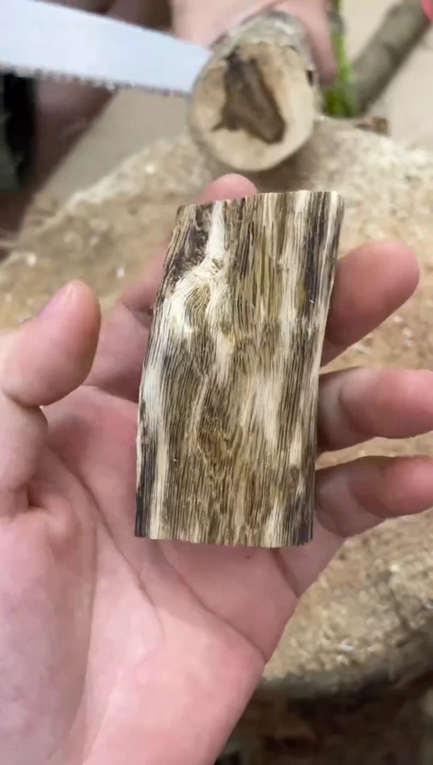 沉香沉香碎屑棋楠沉香 原料文创1