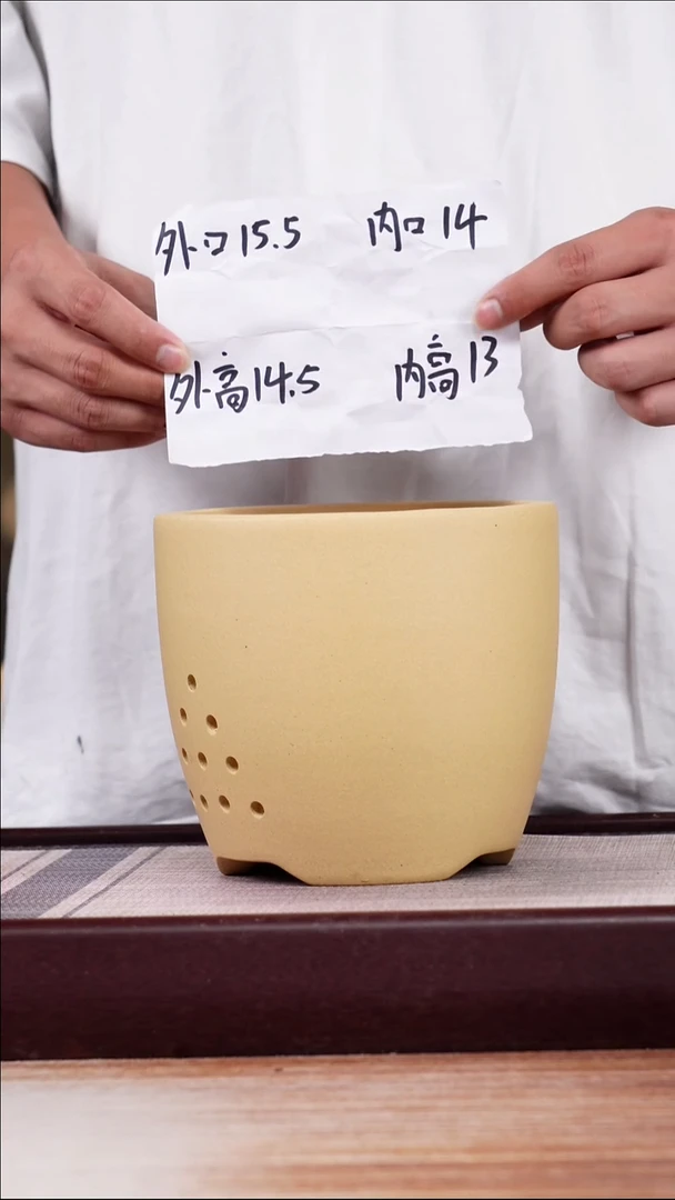紫砂花盆段泥素面君子兰2号一只带托