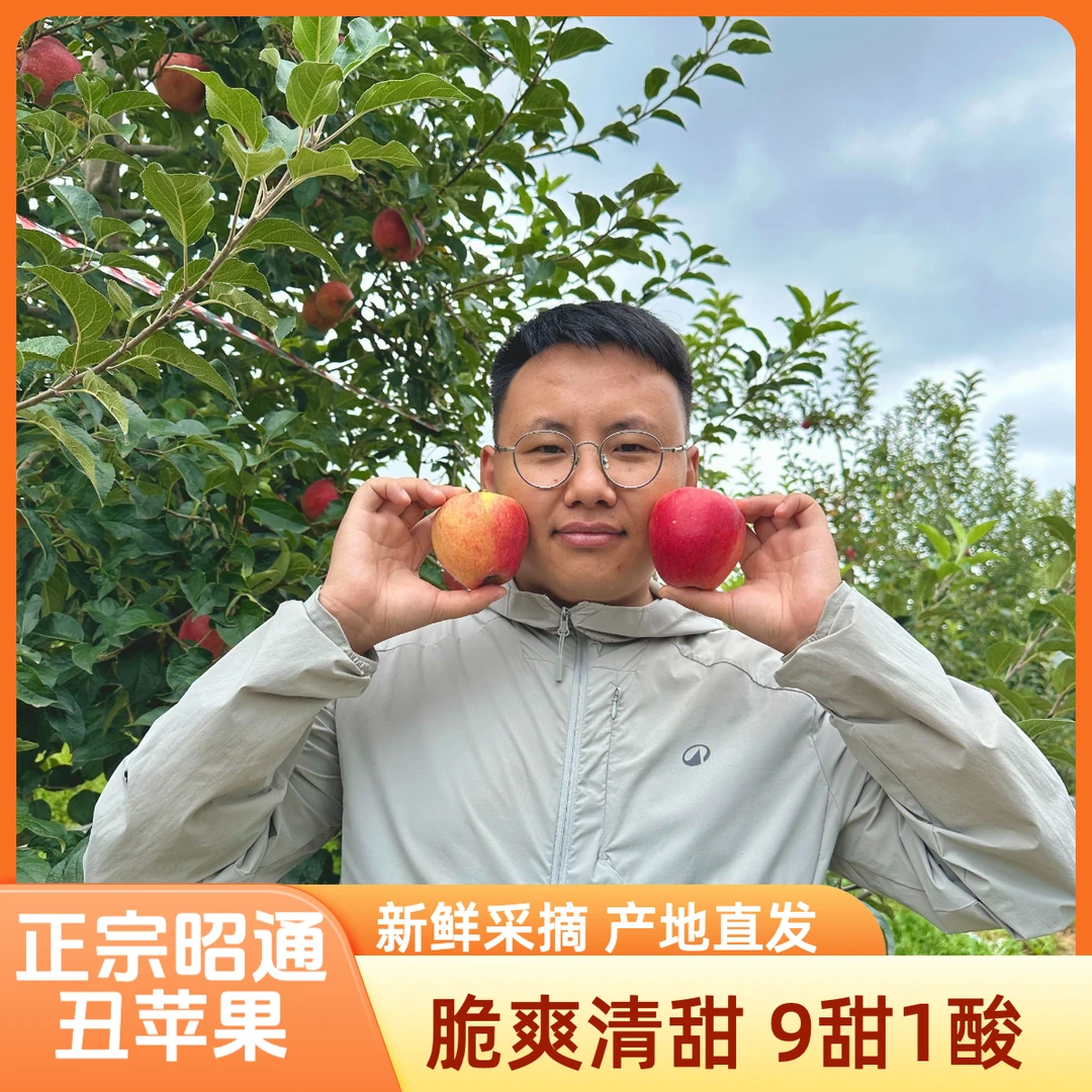 正宗云南昭通丑苹果 精品果 彩箱装