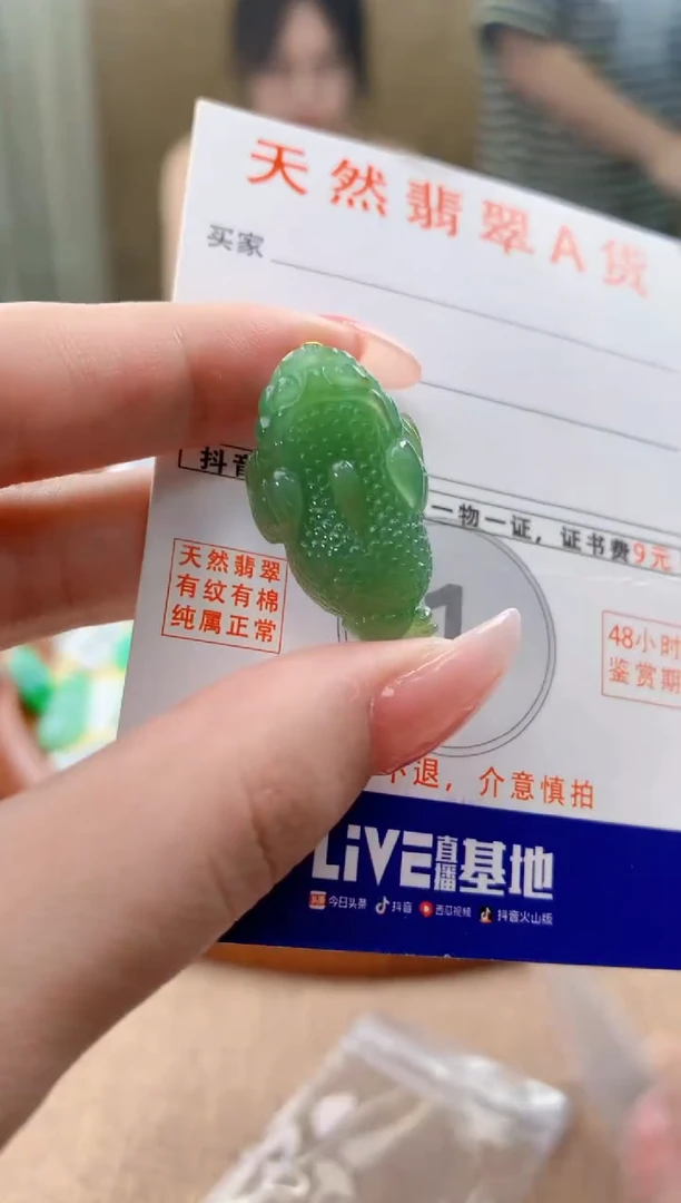 颈饰未镶嵌翡翠 天然A货翡翠挂件