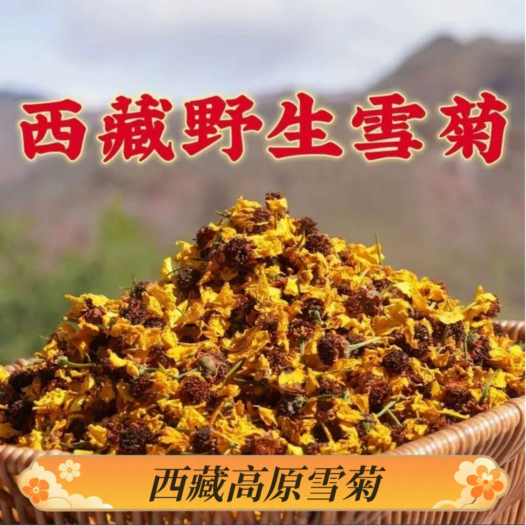 西藏雪域高原菊花干货