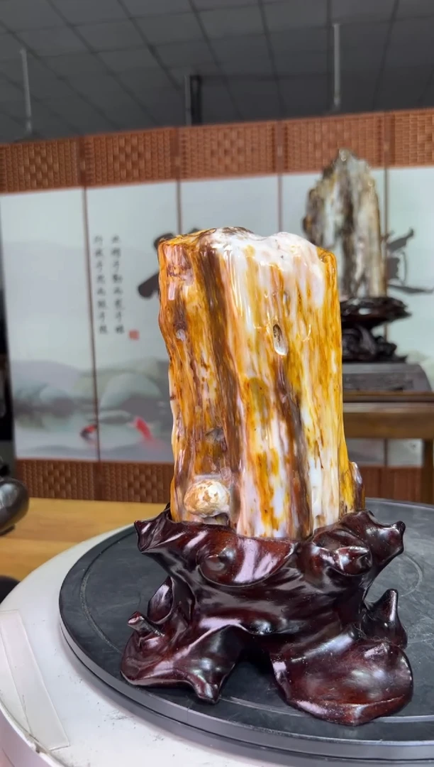 未镶嵌珠宝奇石硅化玉14