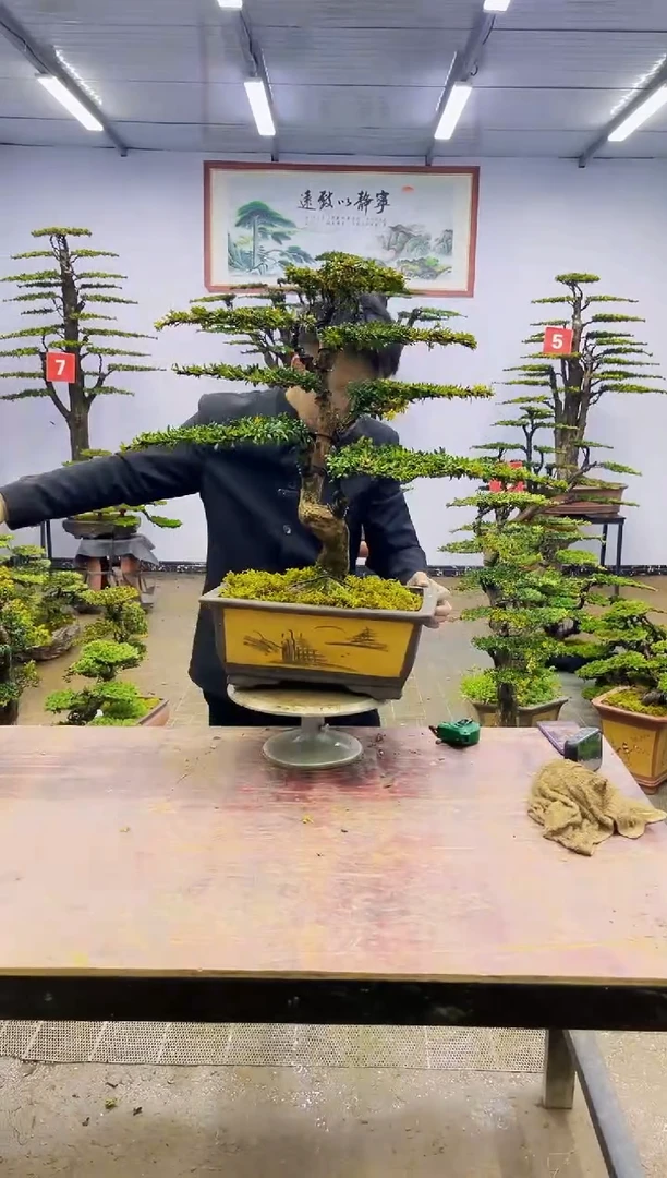 【闪购商品】一物一拍，所见即所得