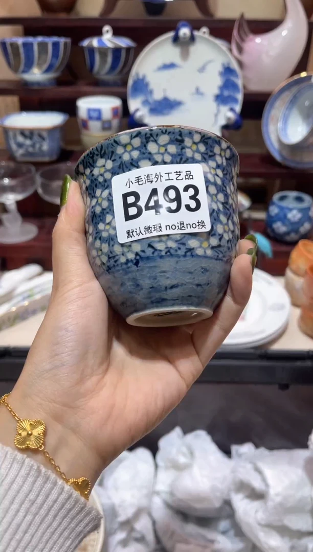 瓷片J**.           B493