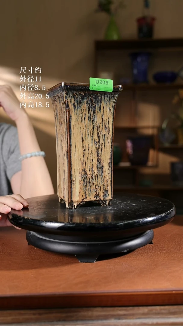 205       8寸宽口悬崖盆