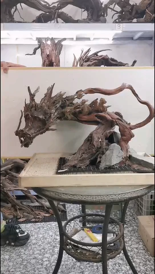 龙龙龙龙龙龙龙龙