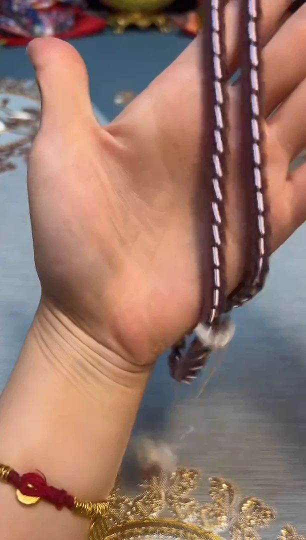 弟杯杯杯杯杯杯杯杯杯杯杯杯