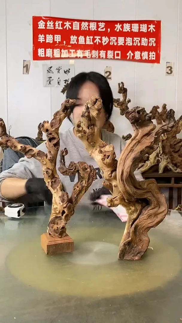 香榧木瑞*金丝红木 羊蹄甲