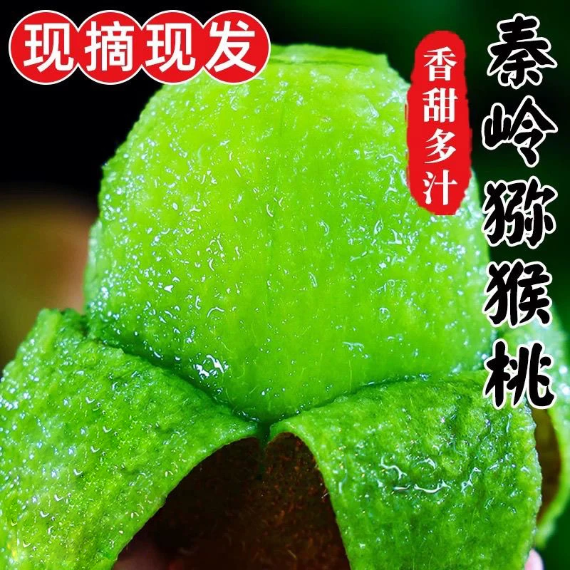 秦地时雨【放软吃】陕西眉县徐香猕猴桃正宗徐香新鲜水果香甜多汁