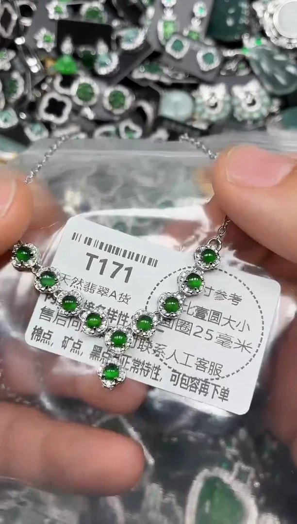 颈饰未镶嵌翡翠T171项链