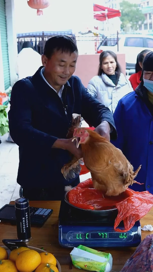 中国大陆淹鸡F05（4.7斤）