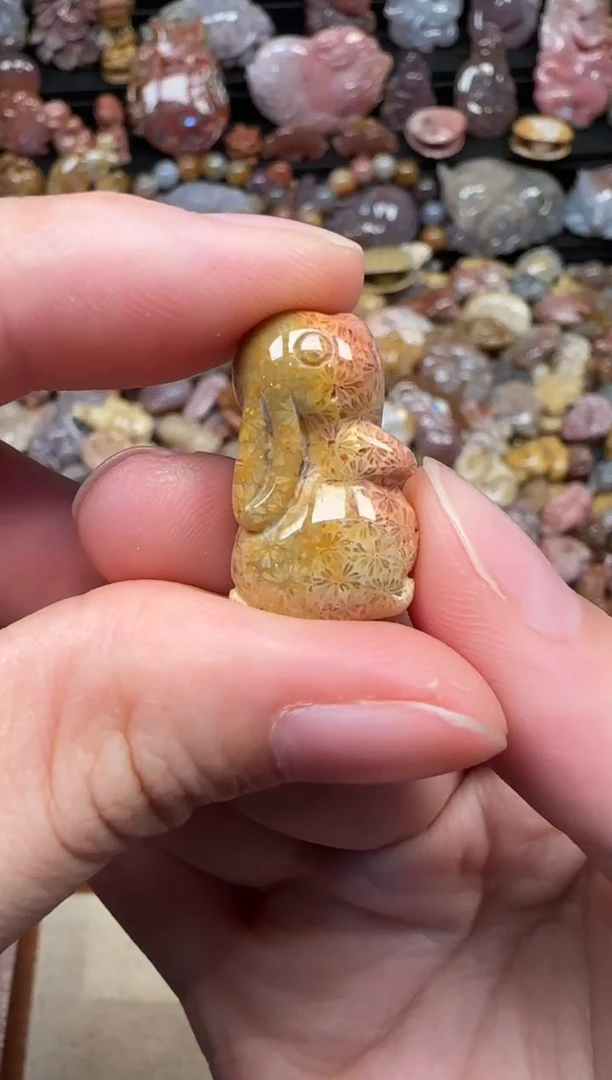 颈饰未镶嵌硅化珊瑚（珊瑚玉）233