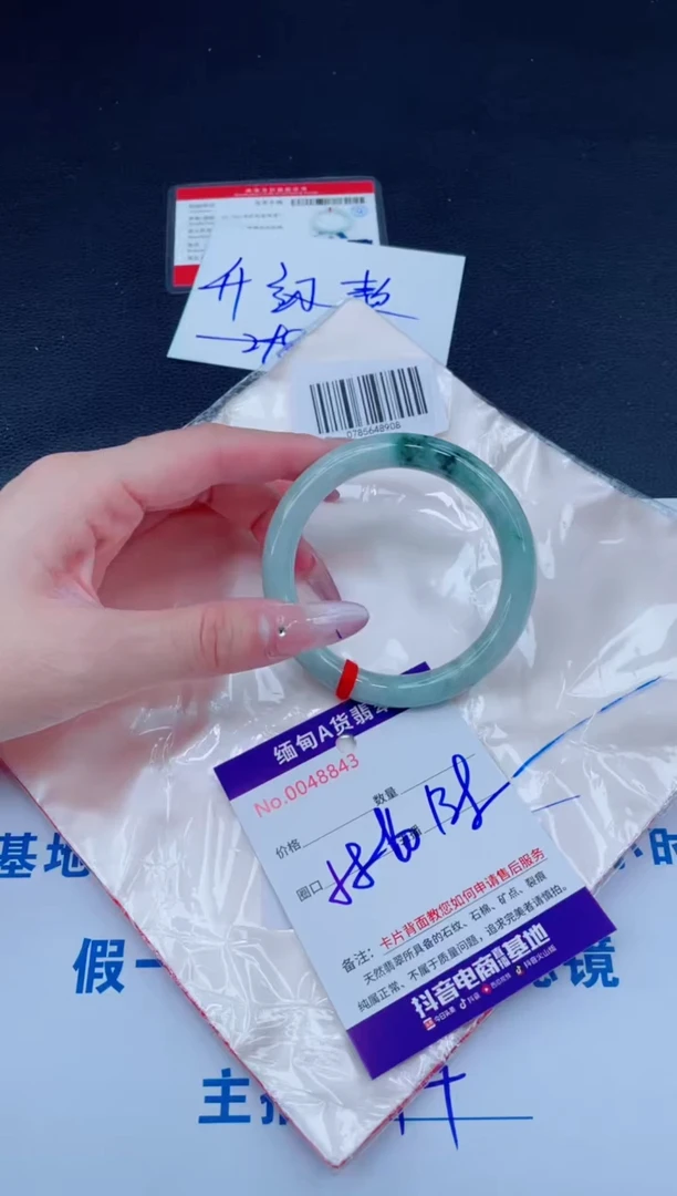 未镶嵌手镯翡翠1