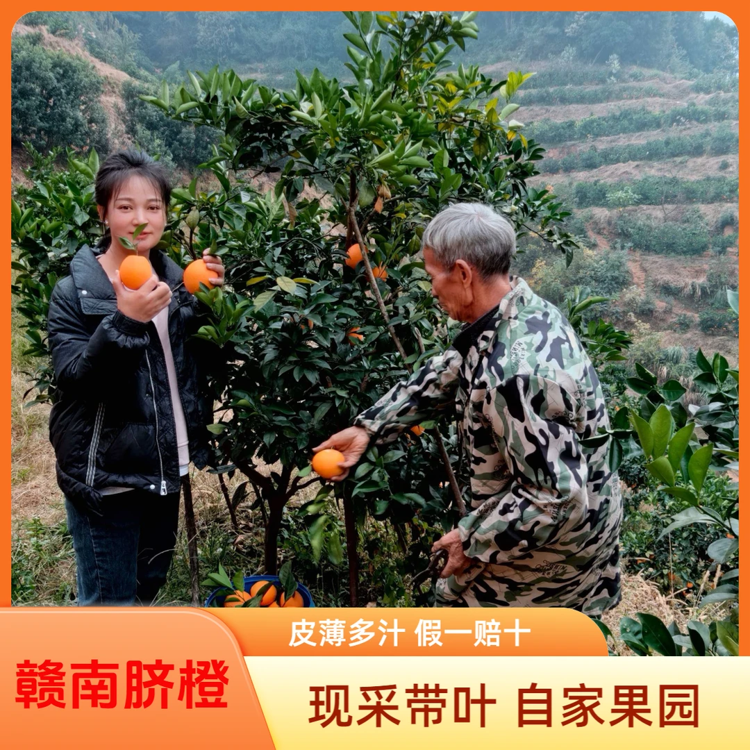 10斤装正宗赣南脐橙应季新鲜皮薄多汁橙子特产好吃果子现采包邮