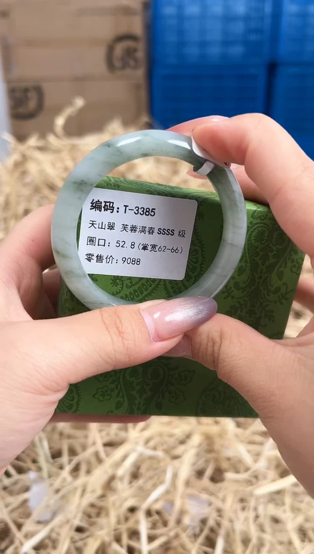 未镶嵌手镯石英质玉T-3385