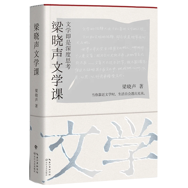 梁晓声文学课 浙江新华正版