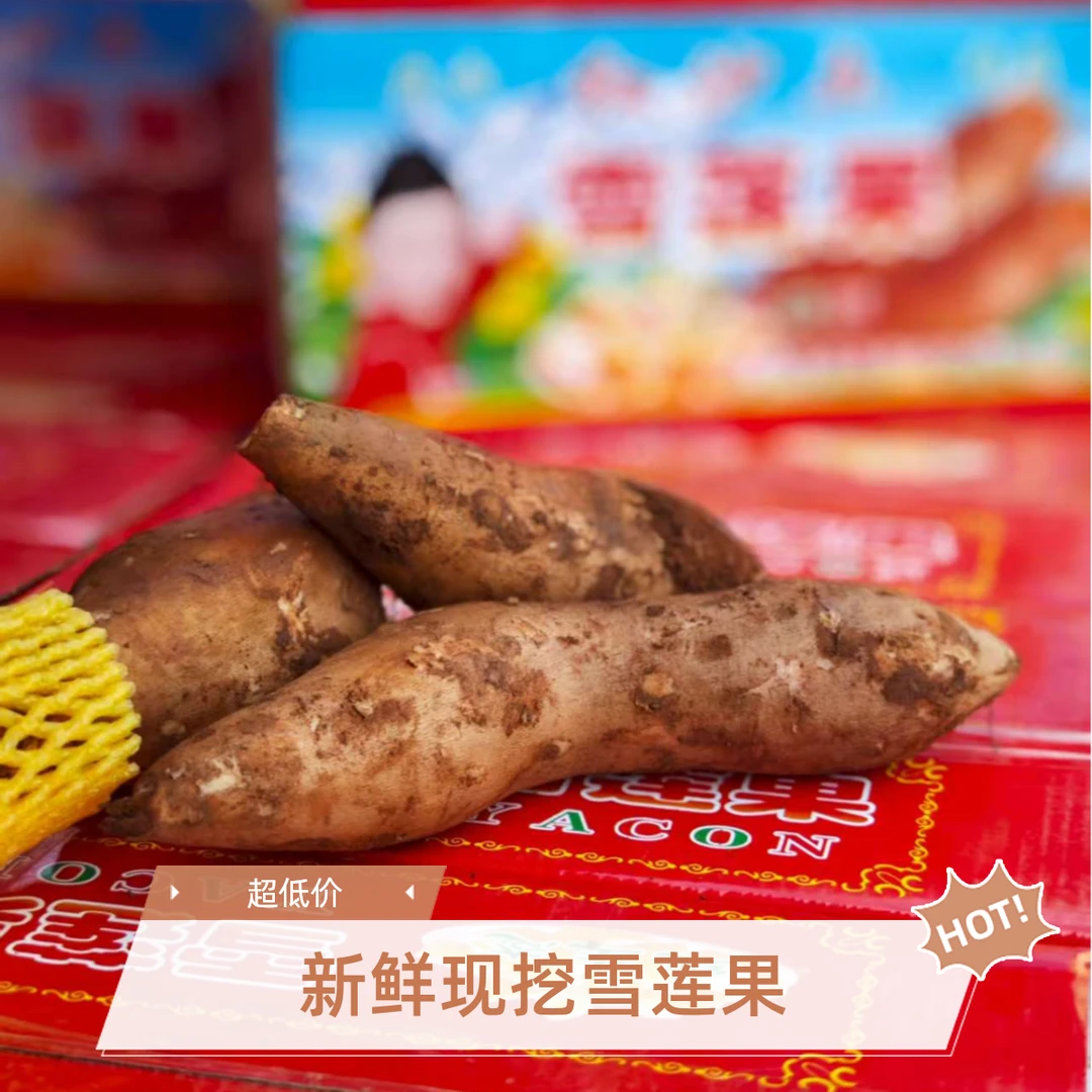 云南天山雪莲果新鲜现挖黄心应季水果产地直发坏果包赔  拍一发二