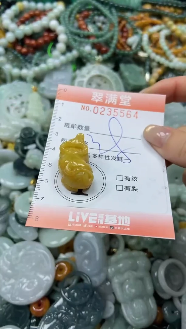 未镶嵌挂件翡翠闪购0235564
