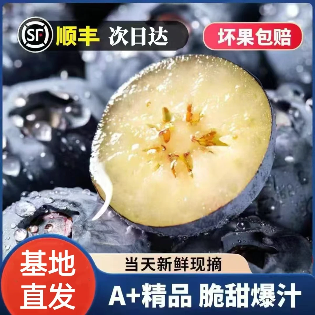 【大果】12-15mm新鲜采摘应季正期蓝莓鲜果酸甜爆汁爆浆 共2斤净重江西省