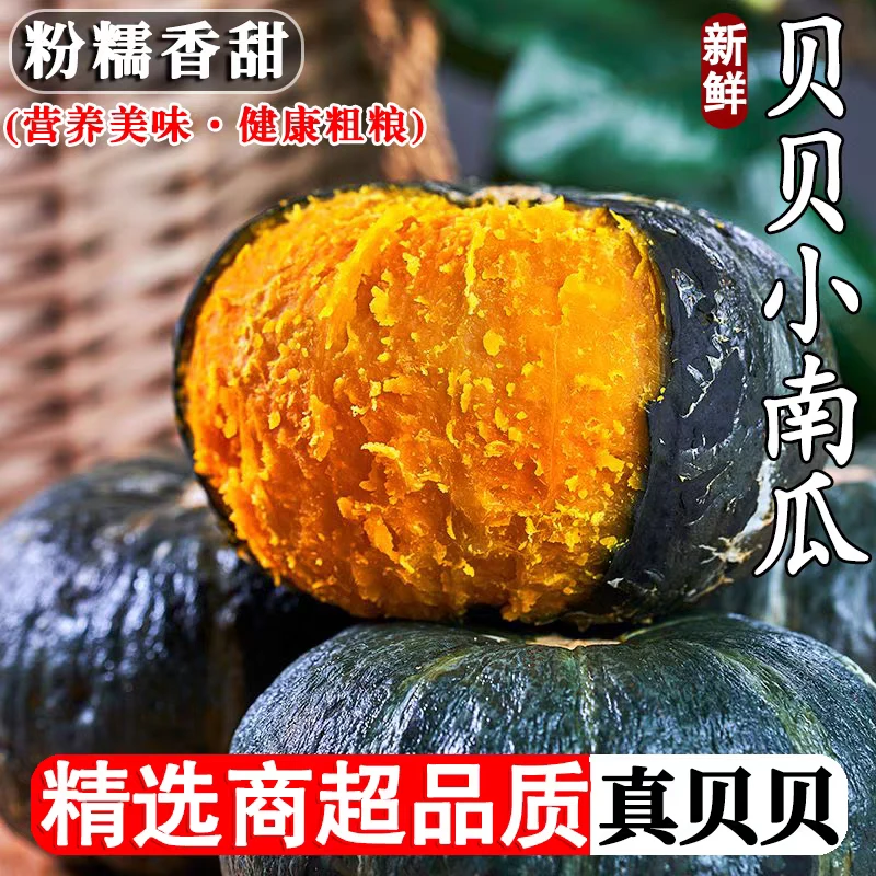 山东正宗贝贝南瓜粉糯香甜板栗味现摘现发迷你小南瓜板栗贝贝