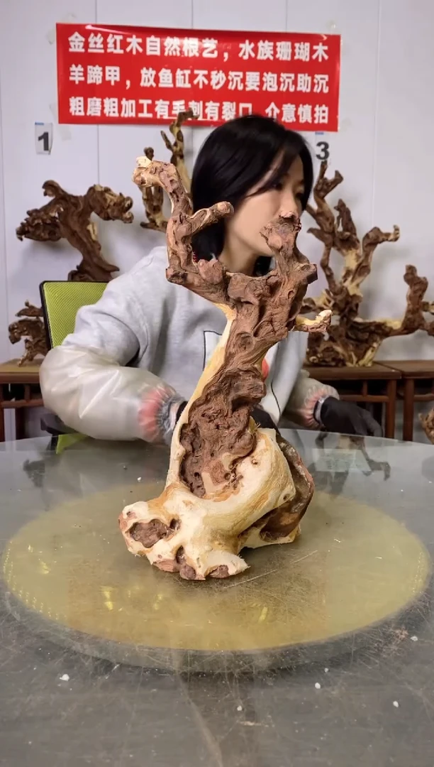 【闪购商品】木20金丝红木 羊蹄甲