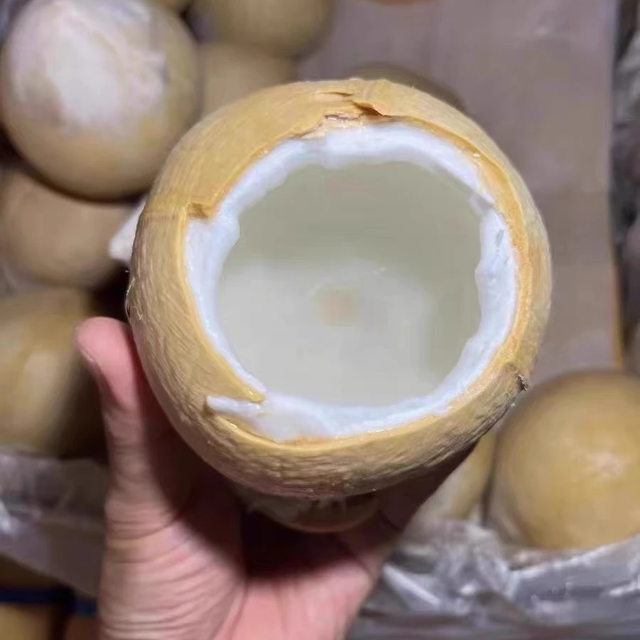 【泰国老树功夫椰皇】天然电解质