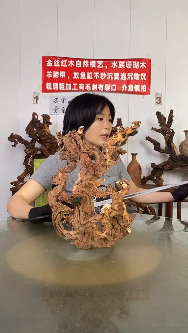 香榧木建**市金丝红木   羊蹄甲