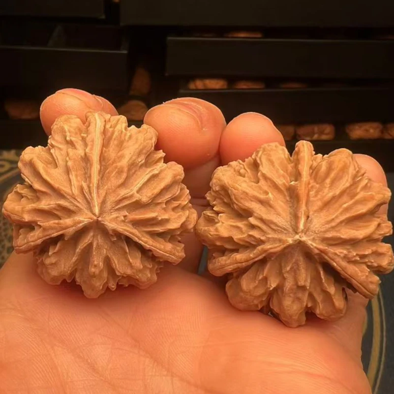 【三棱】秦岭野生文玩核桃精选配对