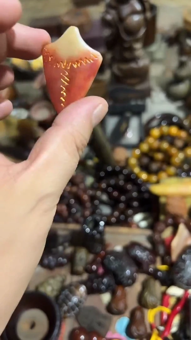 紫砂紫砂紫砂紫砂紫砂紫砂