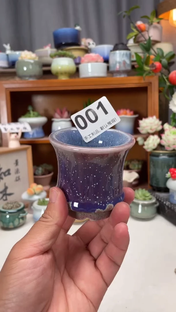 瓷片001知木小芳花盆