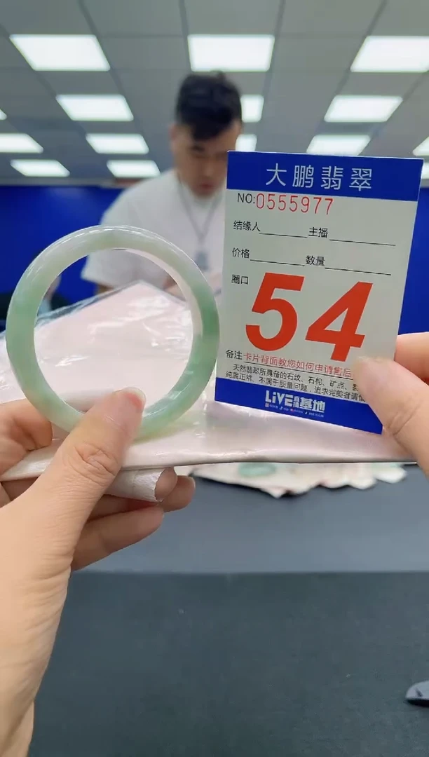 未镶嵌手镯翡翠AAAAAAAAA